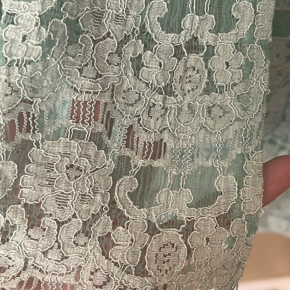 Absolutely Gorgeous Lace overlay Aryn K Pencil Skirt Size Small - Picture 2 of 6